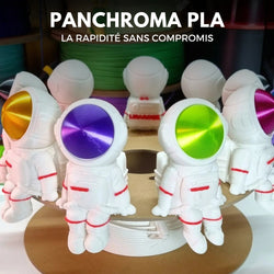Panchroma Basic PLA - Blanc (White) - 1,75 mm - 1 kg