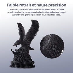 Antinsky - Standard Lite Resin 