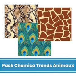 Chemica - Thermocollant - Pack 12 feuilles Animaux - 20 x 30 cm